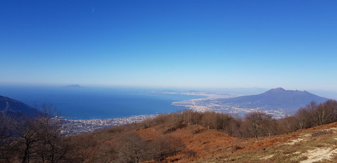 Apicella Casa Vacanze Vila Tramonti Exterior foto