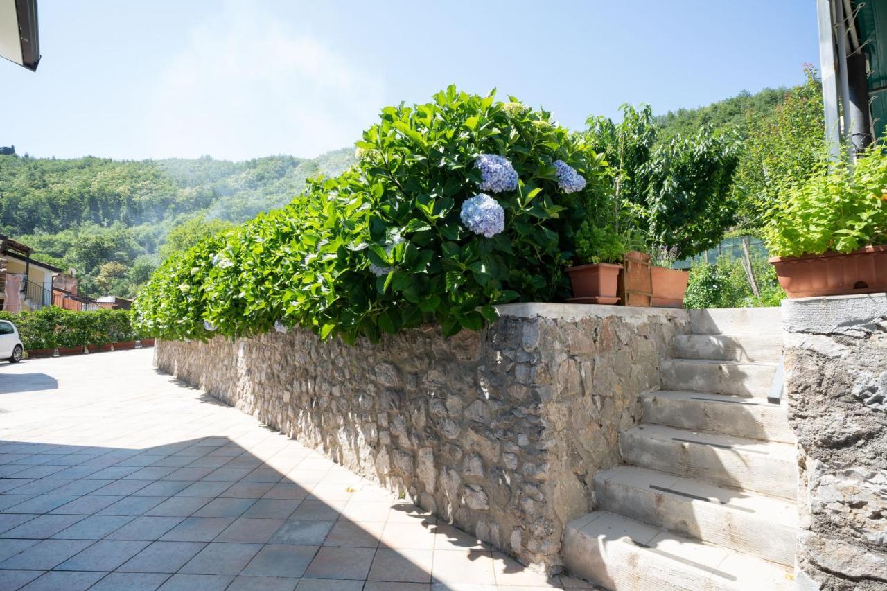 Apicella Casa Vacanze Vila Tramonti Exterior foto